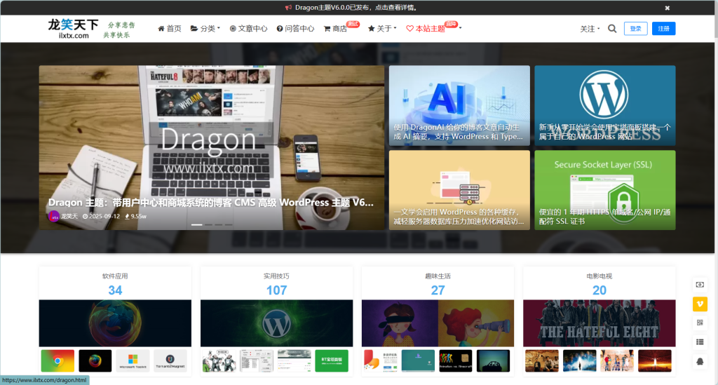 图片[5]-国内优秀的付费WordPress主题模板-游客笔记